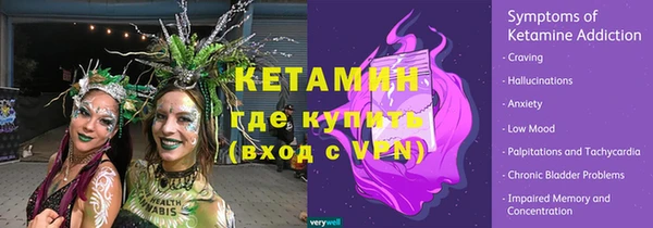 стаф Каменногорск